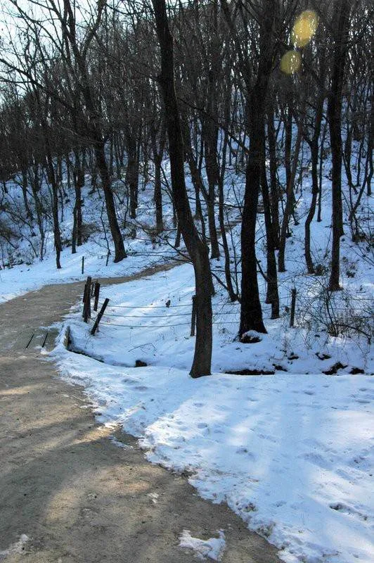 Destination: Wonjong Jangneung - a less-traveled Joseon Dynasty tomb (Gimpo, Gyeonggi-do) Destination: Wonjong Jangneung - a less-traveled Joseon Dynasty tomb (Gimpo, Gyeonggi-do) - South Korea -