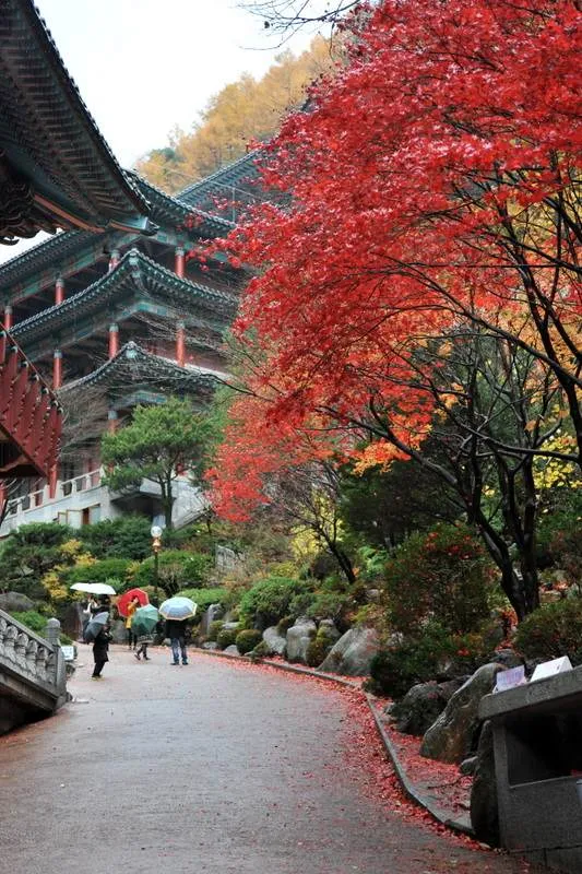 Destination: Guinsa — Buddhist high-rises and an elevator inside a temple (Chungcheongbuk-do, South… Destination: Guinsa — Buddhist high-rises and an elevator inside a temple (Chungcheongbuk-do, South… - South Korea -