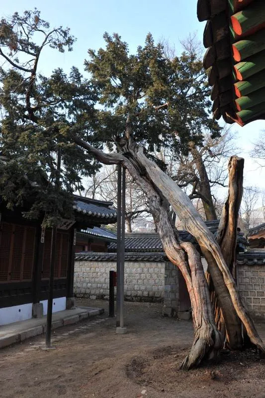 Destination: Munmyo Confucian Shrine and Seonggyungwan Academy (northeast Seoul, South Korea) - South Korea -