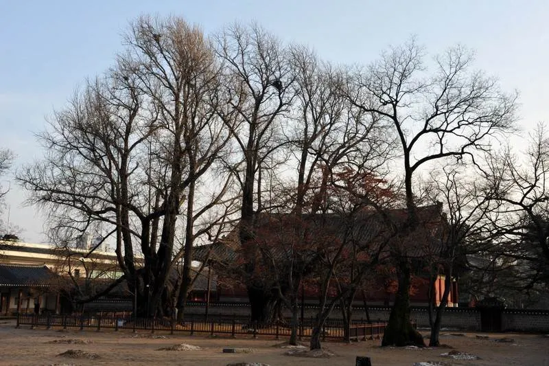 Destination: Munmyo Confucian Shrine and Seonggyungwan Academy (northeast Seoul, South Korea) - South Korea -