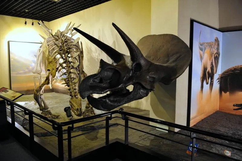 Destination: Goseong Dinosaur Museum (Goseong, Gyeongsangnam-do, South Korea) Destination: Goseong Dinosaur Museum (Goseong, Gyeongsangnam-do, South Korea) - South Korea -