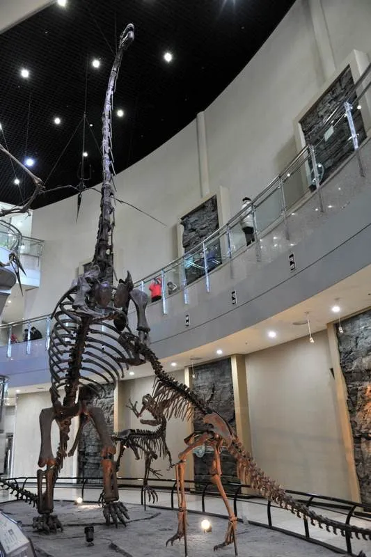 Destination: Goseong Dinosaur Museum (Goseong, Gyeongsangnam-do, South Korea) Destination: Goseong Dinosaur Museum (Goseong, Gyeongsangnam-do, South Korea) - South Korea -