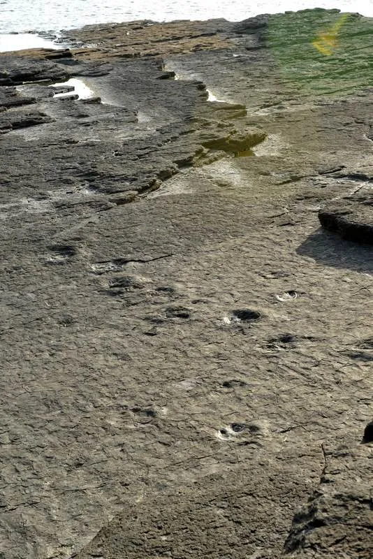 Destination: Goseong Dinosaur Museum (Goseong, Gyeongsangnam-do, South Korea) Destination: Goseong Dinosaur Museum (Goseong, Gyeongsangnam-do, South Korea) - South Korea -