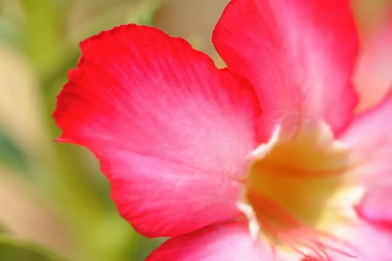 Destination: the Bridge over the River Kwai and a bizarre, fake war museum (Kanchanaburi, Thailand) - Thailand -