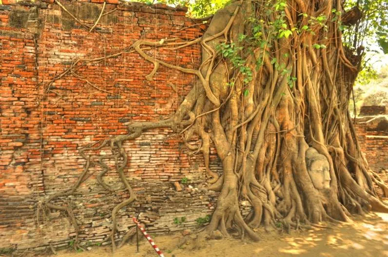 Destination: Wat Mahathat — an ancient temple with relics of the Buddha (Ayutthaya, Thailand) Destination: Wat Mahathat — an ancient temple with relics of the Buddha (Ayutthaya, Thailand) - Thailand -