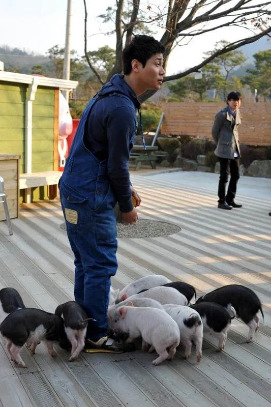 Destination: Icheon Pig Museum (Icheon, Gyeonggi-do, South Korea) - South Korea -