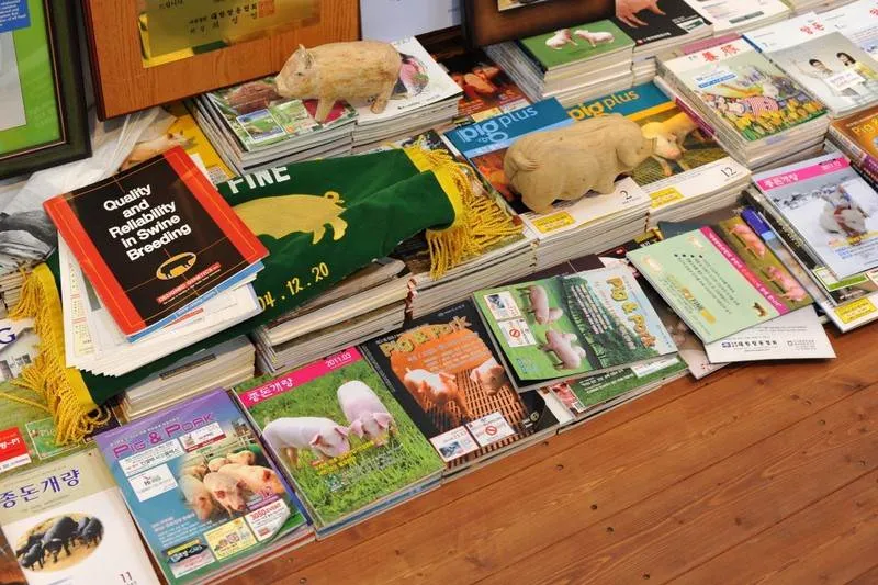 Destination: Icheon Pig Museum (Icheon, Gyeonggi-do, South Korea) - South Korea -