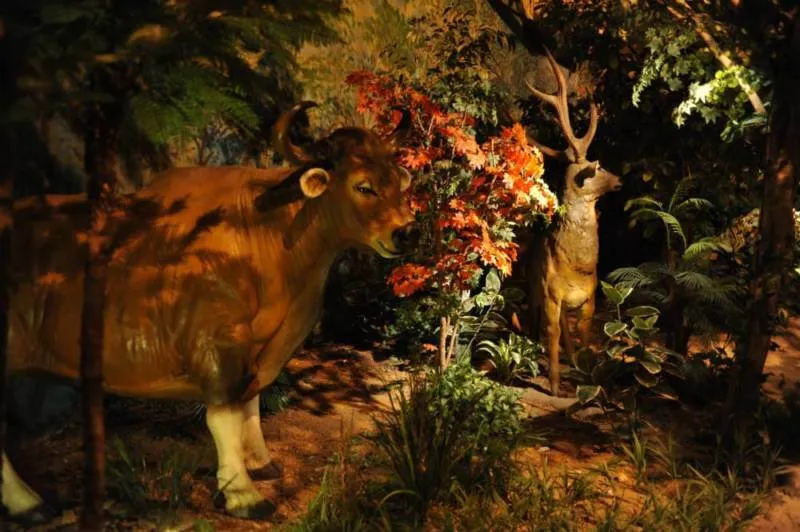 Destination: Chokchai Museum — sexy cars, Swarovsky crystals, super-long lenses, and scads of… - Thailand -