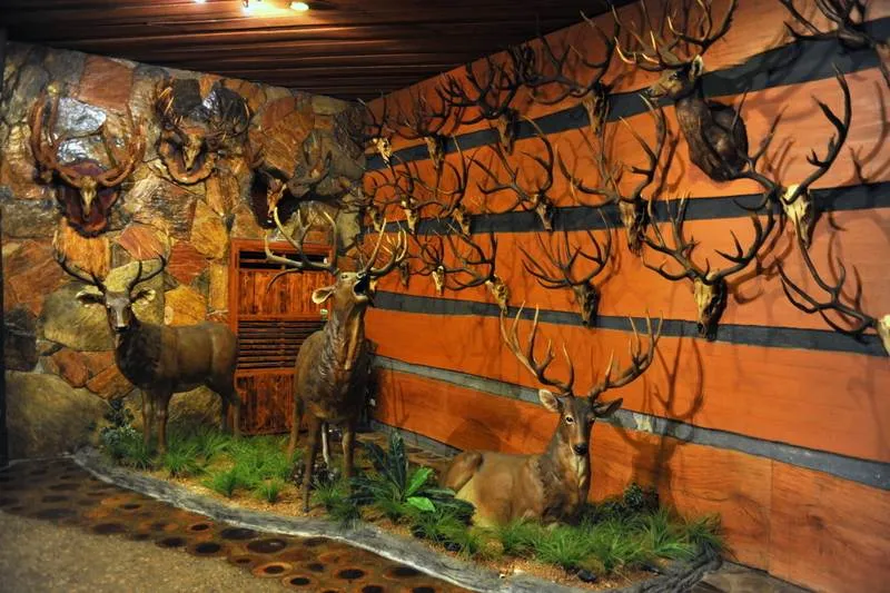 Destination: Chokchai Museum — sexy cars, Swarovsky crystals, super-long lenses, and scads of… - Thailand -