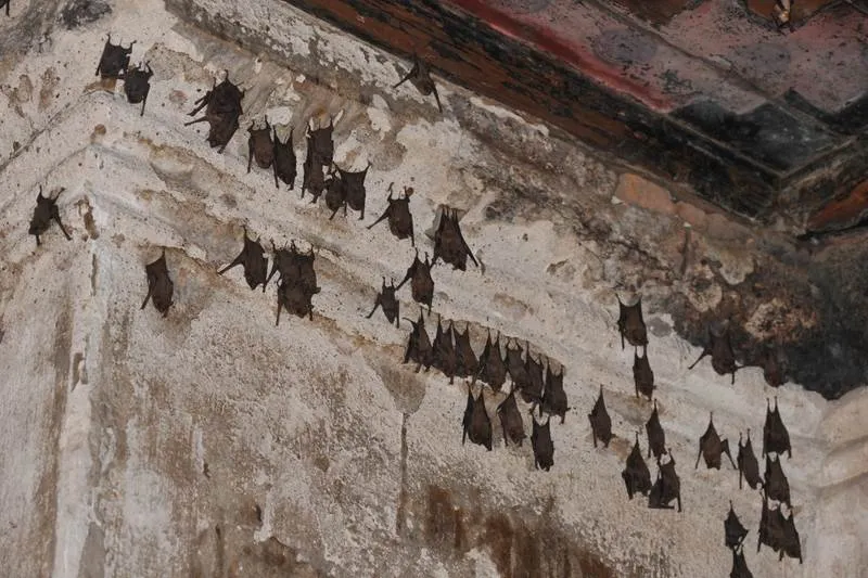 Destination: Phra Prang Sam Yod — an ancient temple overrun by monkeys (Lopburi, Thailand) Destination: Phra Prang Sam Yod — an ancient temple overrun by monkeys (Lopburi, Thailand) - Thailand -