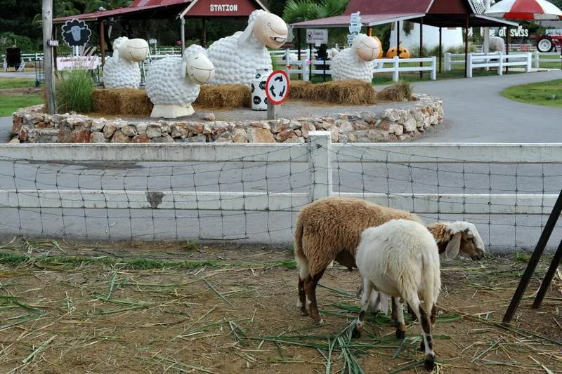 Destination: Swiss sheep farm — complete with country music and a Hulk (southern Thailand) Destination: Swiss sheep farm — complete with country music and a Hulk (southern Thailand) - Thailand -