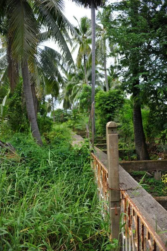 Destination: Ko Kret — a mainstream touristy daytrip with… deep-fried flowers? (central Thailand) - Thailand -