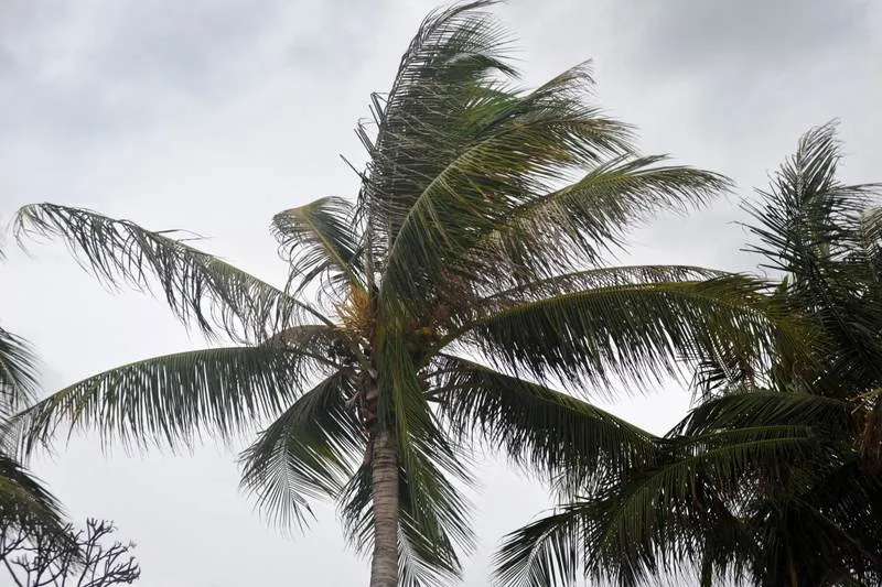 Destination: Puek Tian Beach — a naked ascetic, a dragon ridden like a horse, and a six-meter-tall she-demon (Phetchaburi, Thailand) Destination: Puek Tian Beach — a naked ascetic, a dragon ridden like a horse, and a six-meter-tall she-demon (Phetchaburi, Thailand) - Thailand -