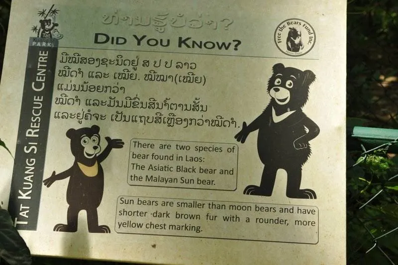 Destination: Kuang Si waterfall and the Tat Kuani Si bear rescue center (Luang Prabang area, Laos) - Laos -