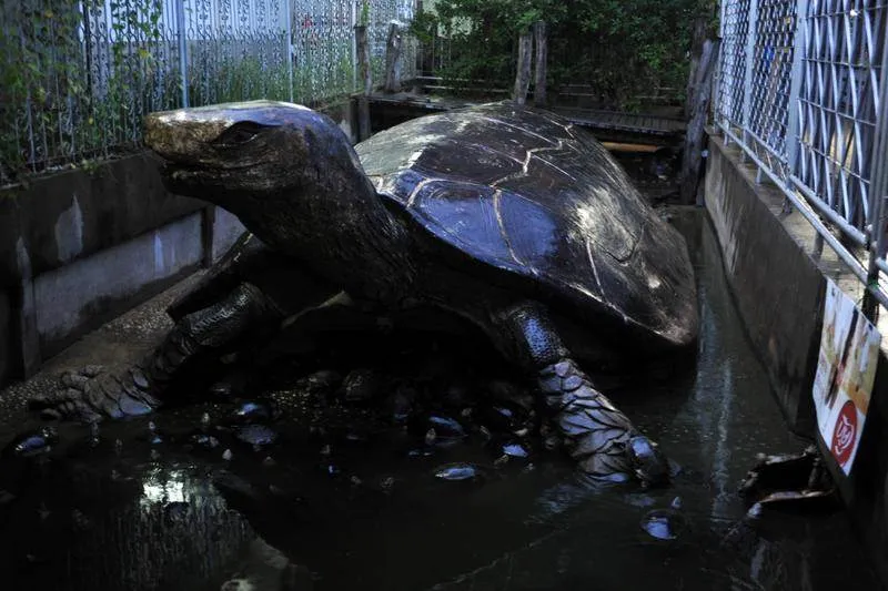 Destination: Wat Chedi Hoi — the temple with oyster shells and a packrat tendency (Central Thailand) - Thailand -