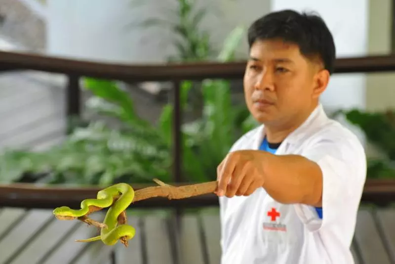 Destination: Bangkok’s snake farm — watch them, pose with them, and don’t get bit by them. - Thailand -