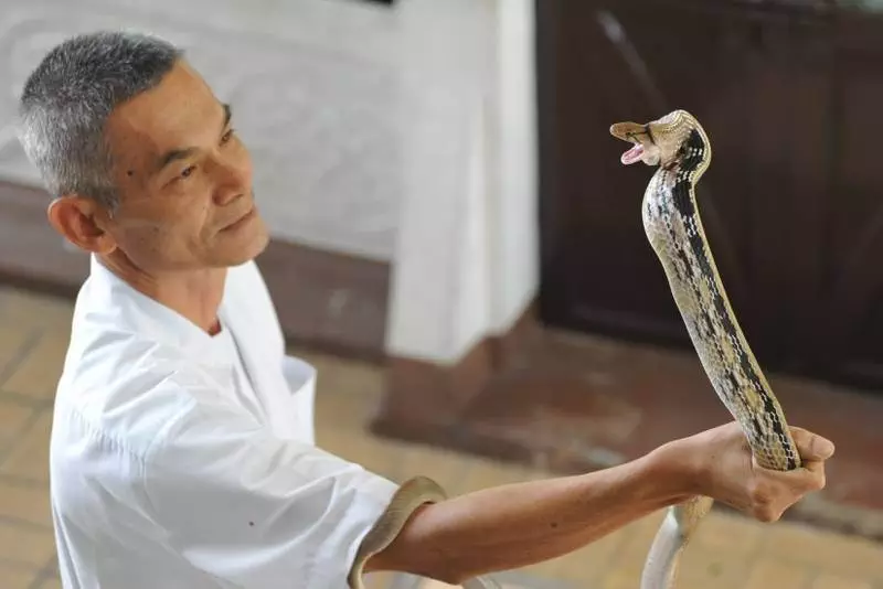 Destination: Bangkok’s snake farm — watch them, pose with them, and don’t get bit by them.