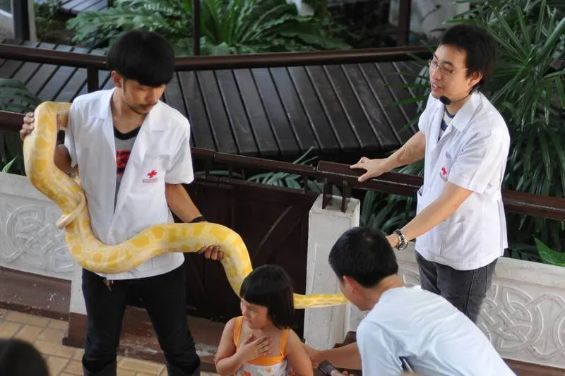 Destination: Bangkok’s snake farm — watch them, pose with them, and don’t get bit by them. - Thailand -