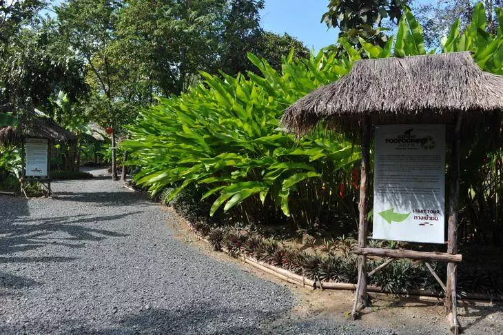 Destination: the park where paper is made from elephant poo - Thailand -