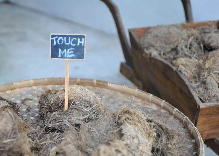 Destination: the park where paper is made from elephant poo - Thailand -