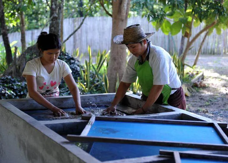 Destination: the park where paper is made from elephant poo Destination: the park where paper is made from elephant poo - Thailand -