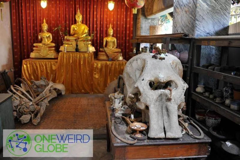 Destination: Wat Ket — the temple where the bizarre museum tells the history (Chiang Mai, Thailand) Destination: Wat Ket — the temple where the bizarre museum tells the history (Chiang Mai, Thailand) - Thailand -