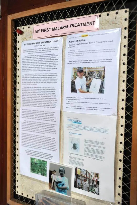 Destination: Museum of World Insects and Natural Wonders (Chiang Mai, Thailand) - Thailand -