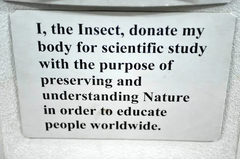 Destination: Museum of World Insects and Natural Wonders (Chiang Mai, Thailand) - Thailand -