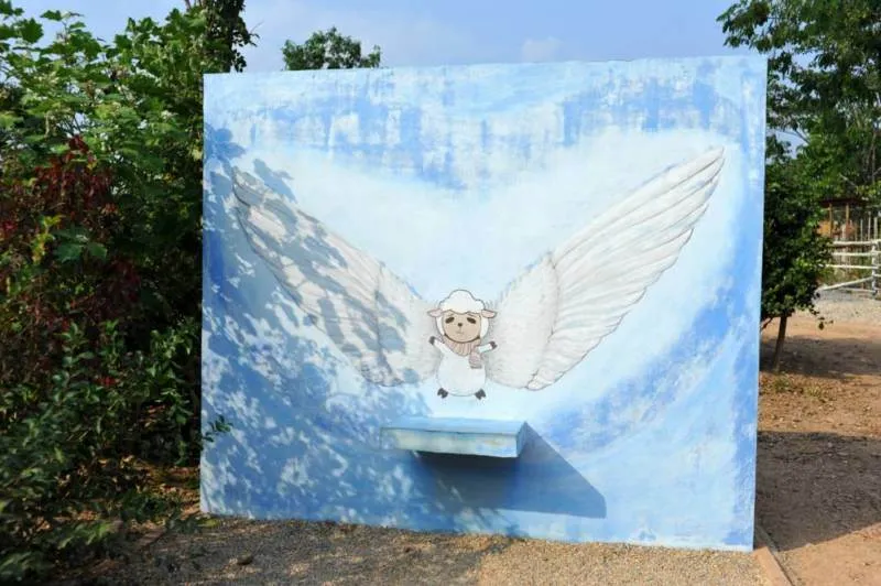 Destination: Hug You Sheep Farm — a haven for selfie-takers! (Lampang, Thailand) - Thailand -