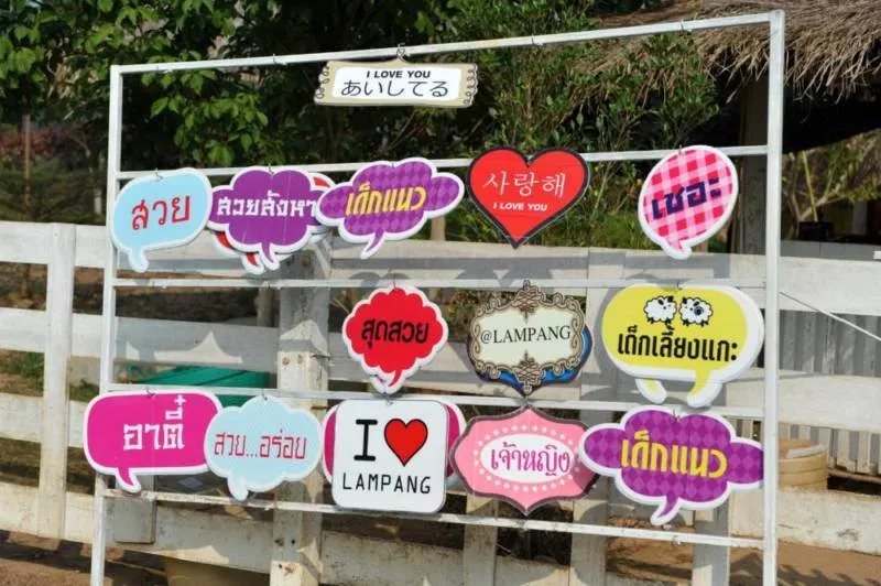 Destination: Hug You Sheep Farm — a haven for selfie-takers! (Lampang, Thailand) - Thailand -