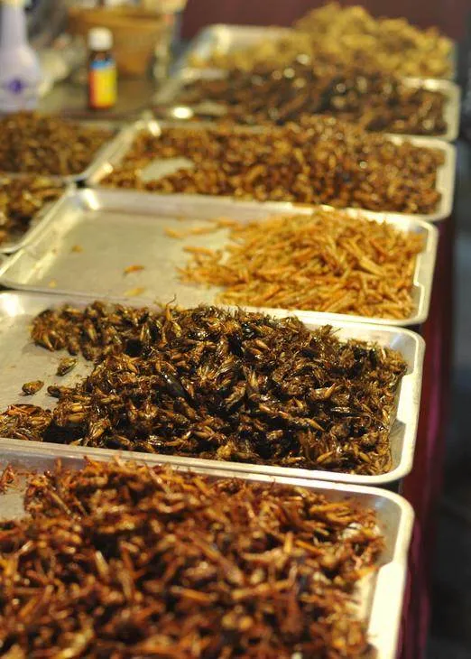 Destination: Myawaddy, Myanmar — the border town across from Thailand - Myanmar -