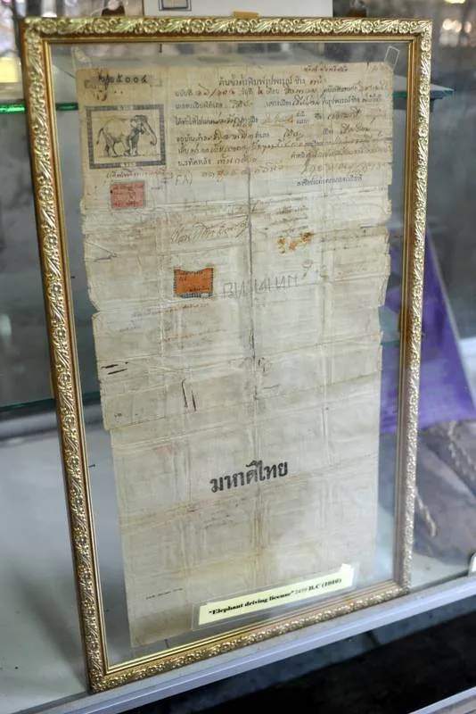 Destination: Wat Rong Meng — ever seen an elephant drivers license? (Chiang Mai, Thailand) - Thailand -