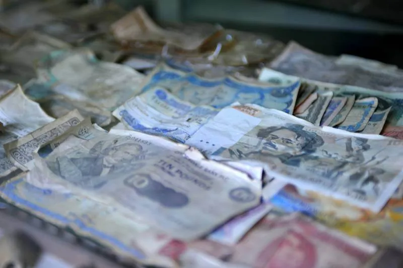 Destination: Wat Rong Meng — ever seen an elephant drivers license? (Chiang Mai, Thailand) - Thailand -