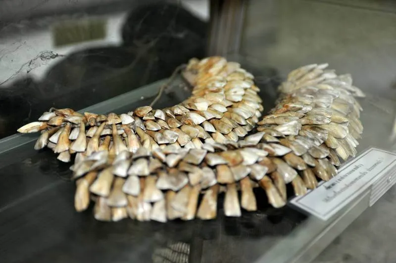 Destination: Wat Rong Meng — ever seen an elephant drivers license? (Chiang Mai, Thailand) - Thailand -