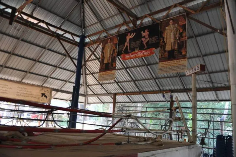 Destination: the Buddhist temple with horses… and a boxing ring? (Northern Thailand) Destination: the Buddhist temple with horses… and a boxing ring? (Northern Thailand) - Thailand -