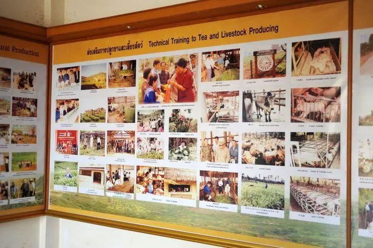 Destination: the Chinese Martyr's Memorial Museum on a former mountaintop home of opium warlords (northern Thailand) Destination: the Chinese Martyr's Memorial Museum on a former mountaintop home of opium warlords (northern Thailand) - Thailand -