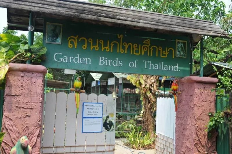 Destination: Phitsanulok: an excellent trifecta of history, Buddhas, and birds - Thailand -