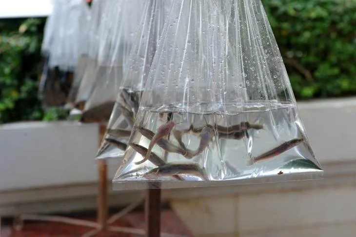 Destination: Sukhothai — what happens when tourism changes a town? (Thailand) - Thailand -