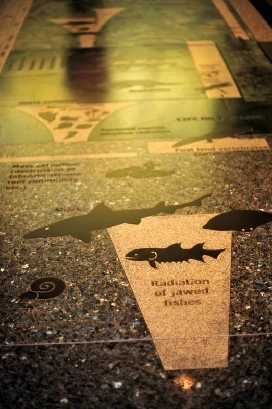 Destination: Sirindhorn Museum — an awesome dinosaur museum (Non Buri, Thailand) - Thailand -