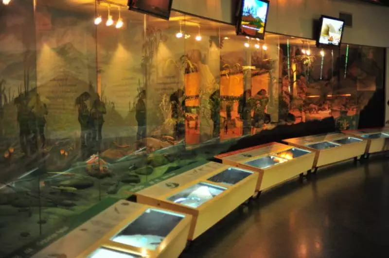 Destination: Sirindhorn Museum — an awesome dinosaur museum (Non Buri, Thailand) - Thailand -