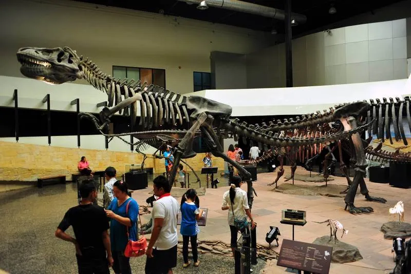 Destination: Sirindhorn Museum — an awesome dinosaur museum (Non Buri, Thailand) - Thailand -