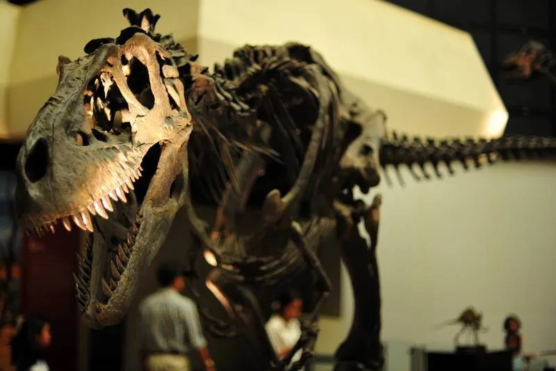 Destination: Sirindhorn Museum — an awesome dinosaur museum (Non Buri, Thailand) - Thailand -