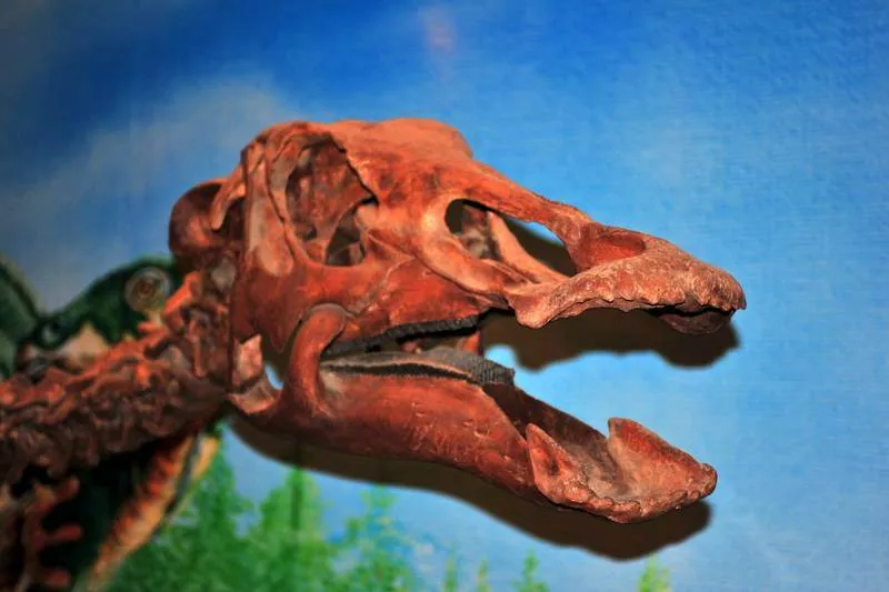 Destination: Sirindhorn Museum — an awesome dinosaur museum (Non Buri, Thailand) - Thailand -