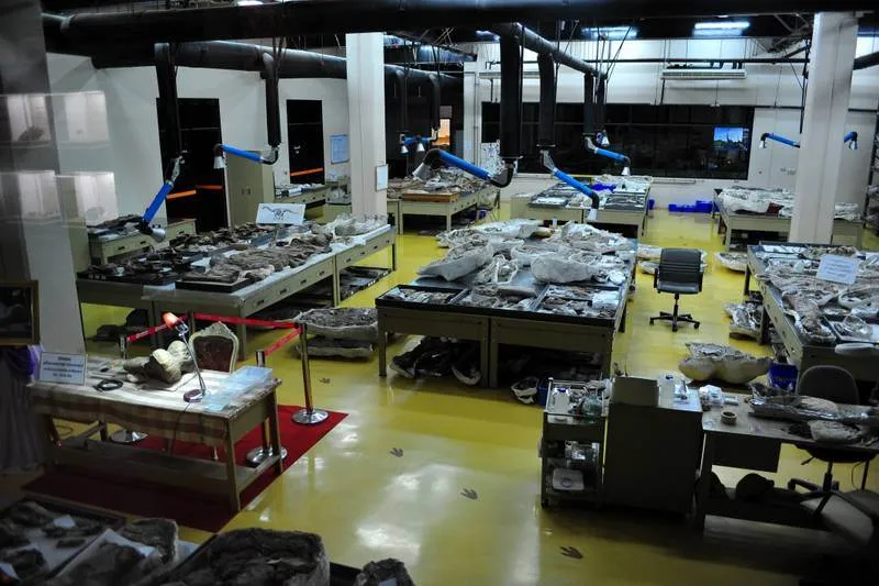 Destination: Sirindhorn Museum — an awesome dinosaur museum (Non Buri, Thailand) - Thailand -