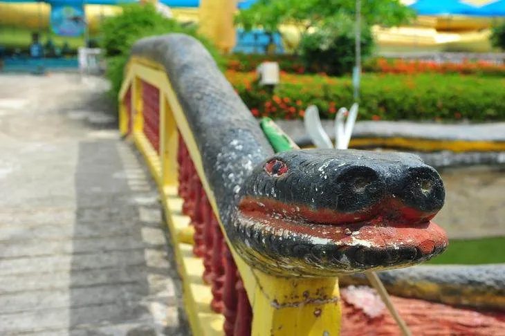 The unexpected: A huge reclining Buddha and a forest of finely groomed trees (Phitsanulok, Thailand) The unexpected: A huge reclining Buddha and a forest of finely groomed trees (Phitsanulok, Thailand) - Thailand -