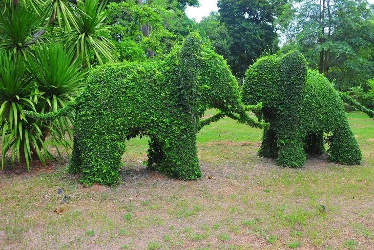The unexpected: A huge reclining Buddha and a forest of finely groomed trees (Phitsanulok, Thailand) The unexpected: A huge reclining Buddha and a forest of finely groomed trees (Phitsanulok, Thailand) - Thailand -