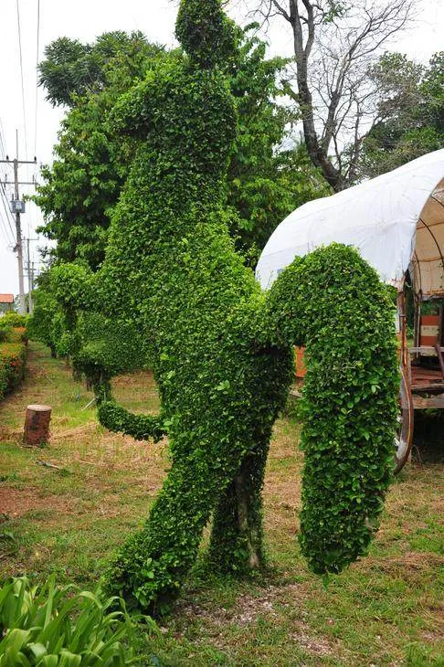 The unexpected: A huge reclining Buddha and a forest of finely groomed trees (Phitsanulok, Thailand) The unexpected: A huge reclining Buddha and a forest of finely groomed trees (Phitsanulok, Thailand) - Thailand -