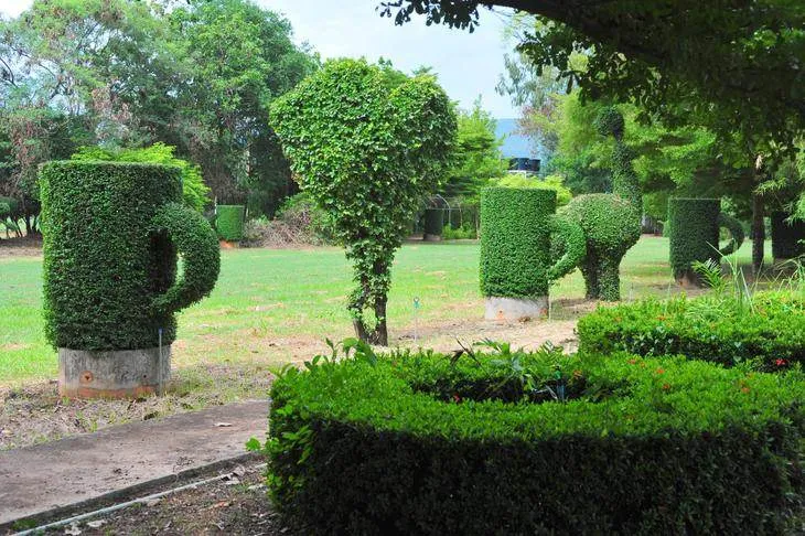 The unexpected: A huge reclining Buddha and a forest of finely groomed trees (Phitsanulok, Thailand) The unexpected: A huge reclining Buddha and a forest of finely groomed trees (Phitsanulok, Thailand) - Thailand -