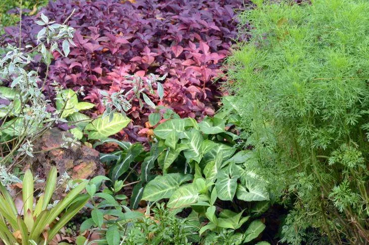 Guest post: the Turtle Museum, Chinese Garden and Japanese Garden all in one (Singapore) Guest post: the Turtle Museum, Chinese Garden and Japanese Garden all in one (Singapore) - Singapore -