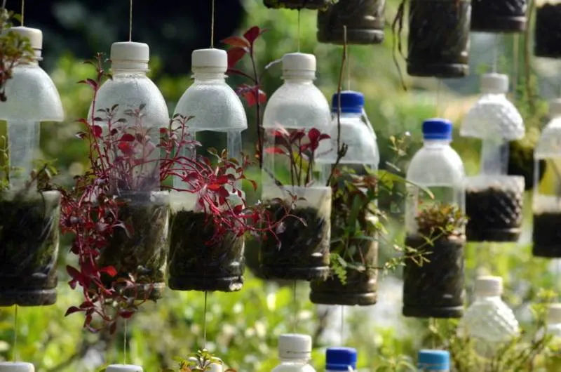 Guest post: the Turtle Museum, Chinese Garden and Japanese Garden all in one (Singapore) Guest post: the Turtle Museum, Chinese Garden and Japanese Garden all in one (Singapore) - Singapore -